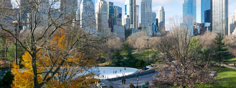 Wollman Rink NY